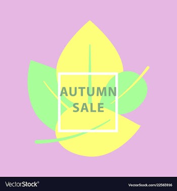 Sale banner template design in color vector image