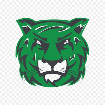 Salem International University Salem International Tigers women's basketball Winston-Salem State University Virginia State University Bluefield State College - subzero pattern 