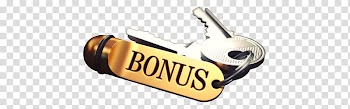 Sales force compensation Incentive program Information, Remuneration transparent background PNG clipart