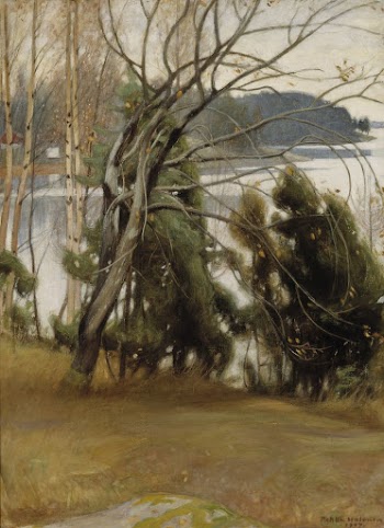 Sallow in autumn, 1907, by Pekka | Free Photo - rawpixel