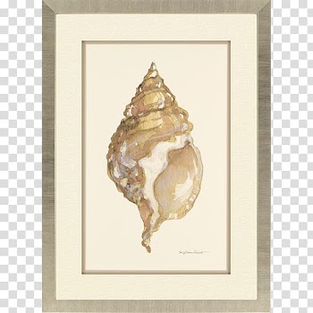 Sally Eckman Roberts Designs Jensen Beach Sentiment II Northeast Maple Avenue Hutchinson Island, watercolor seashell transparent background PNG clipart