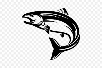 Salmon Clip art - fish 
