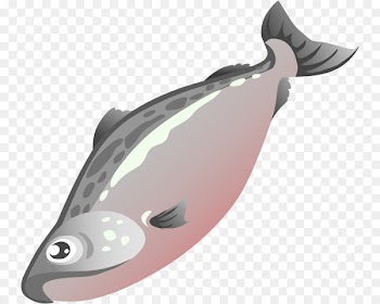 Salmon Fish Clip art - Cute Salmon Cliparts 