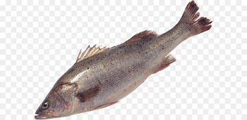 Salmon Fish products Sardine Trout Cod - Fish PNG 