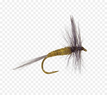 Salmon Fly, Fly Fishing, Artificial Fly, Bait PNG