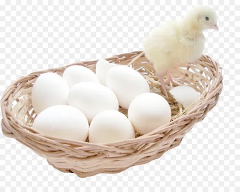 Salted duck egg Chicken egg Breakfast - Chicken eggs 