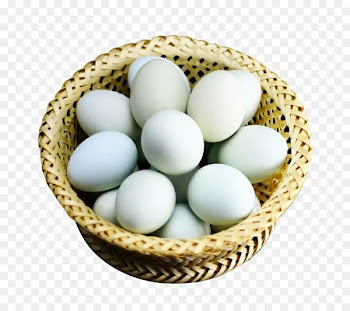 Salted duck egg Chicken Meatball - Green shell duck egg farm 