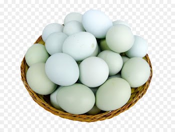 Salted duck egg Congee u9d28u86cb Eating - Green shell eggs Png 