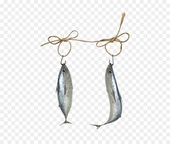 Salted fish Salting - Hanging dried salted fish 