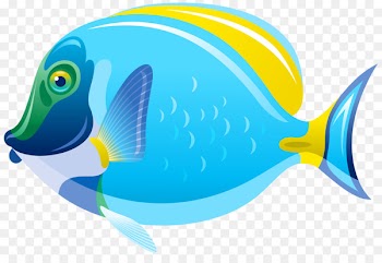 Saltwater fish Clip art - fish 