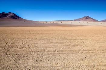 Salvador Dali Desert