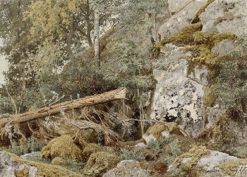 Sammaleinen kallio metsässä, 1857, Werner | Free Photo - rawpixel