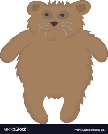 Sample bear vector image
