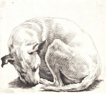 Sample plate: A dog | Free Photo - rawpixel