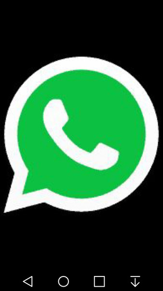 Samsung Galaxy S Plus WhatsApp iPhone Android - whatsapp 