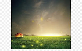 Samsung Galaxy S6 Samsung Galaxy S5 Smartphone Wallpaper - Night sky fireflies grass background 