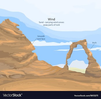 Sand and wind curves vector image