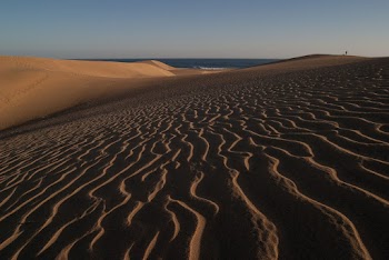 Sand Dunes