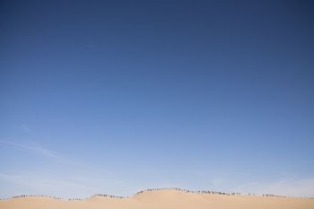 sand dunes