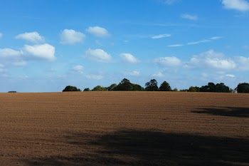 Sand Dunes