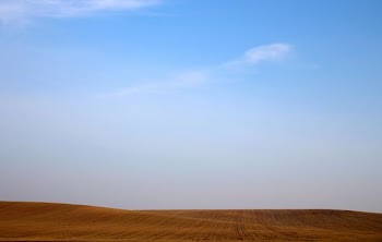 sand dunes under clear sky