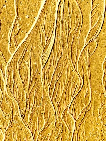 SAND WAVES 6.jpg