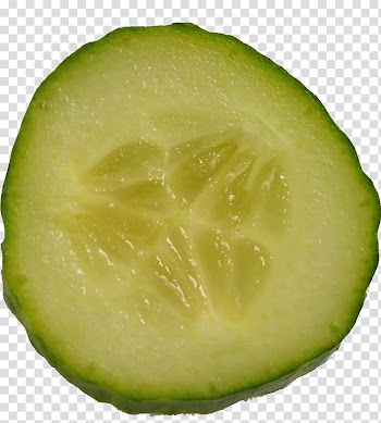Sandwich Material, sliced cantaloupe fruit transparent background PNG clipart