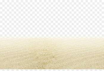 Sandy Beach Euclidean vector - Sandy beach 