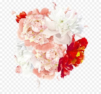 Sanitary napkin Flower Always - Peony 