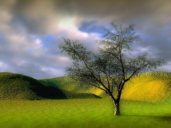 Santa Banta Nature Wallpapers In 3d - Wallpaper Cave