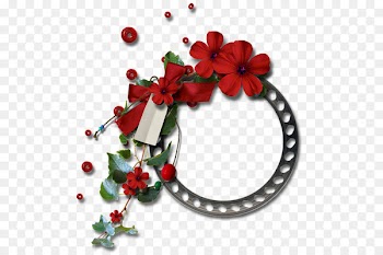 Santa Barbara Wildlife Care Network Restaurant Delivery Mokelumne Brew House Jewellery - akvarel frame 