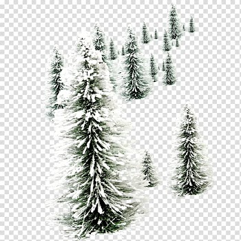 Santa Claus Christmas New Year's Day Wish, Christmas tree transparent background PNG clipart