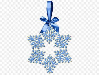 Santa Claus Christmas ornament Christmas Day Portable Network Graphics Snowflake - priceess ornament 