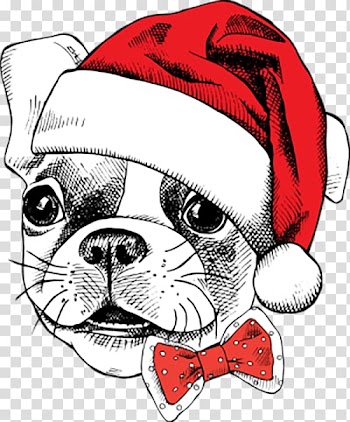 Santa Claus Dog breed Puppy Christmas, Celebrate Christmas dog transparent background PNG clipart