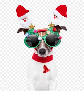 Santa Claus Dog Christmas card Gift - Christmas Dog 