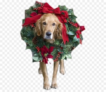 Santa Claus Dog Christmas card Puppy - santa claus 