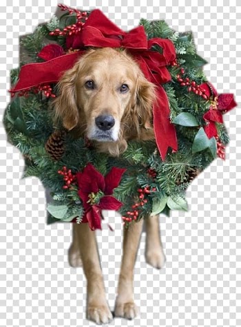 Santa Claus Dog Christmas card Puppy, santa claus transparent background PNG clipart