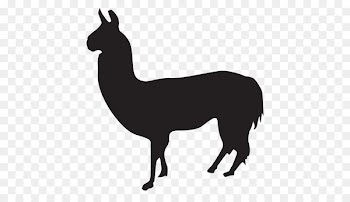 Santa Claus Reindeer Silhouette Vector graphics Image - santa claus 