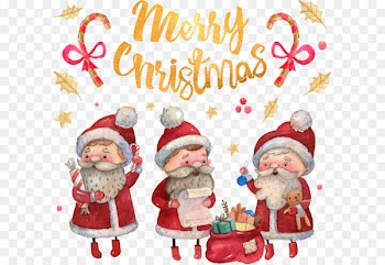 Santa Claus Royal Christmas Message Child - Hand-painted watercolor Christmas Greeting Cards 