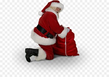 Santa Claus Tooth fairy Christmas ornament Easter Bunny - Santa Top 
