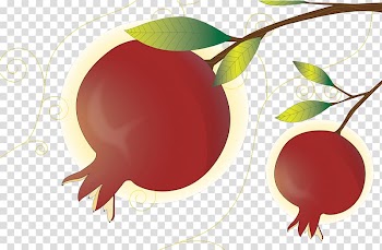 Santana Row Iran MEHREGAN CELEBRATION 2017 Shab-e Yalda, nowruz transparent background PNG clipart