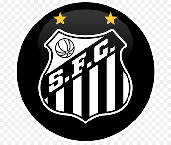 Santos FC Santos, São Paulo Campeonato Brasileiro Série A Sport Club do Recife Clube Atlético Bragantino - football 