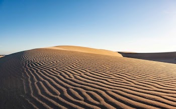 Saraha Desert