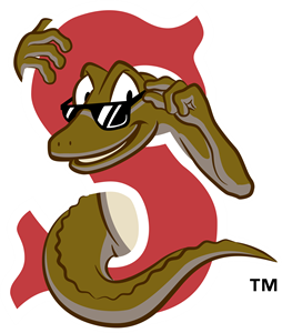 Sarasota Red Sox Logo Vector