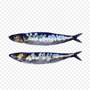 Sardine European pilchard Fish Clip art - Hand painted fish material 
