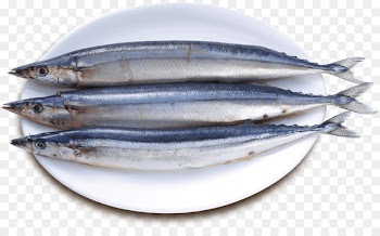 Sardine Pacific saury Fish products Oily fish - fish 