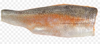 Sardine Salted fish Oily fish Food - fish 
