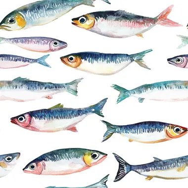Sardines Group Illustration for Coastal Kitchen Decor on White Background Sardines Group Illustration for Coastal Kitchen Decor on White Background