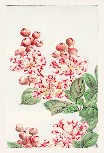 Sarusubi blossoms during 1870&ndash;1880 by Megata Morikaga. Original from Library of Congress. Digitally enhanced by rawpixel.