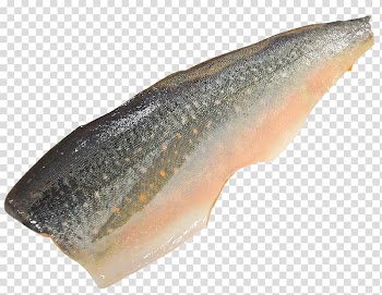 Sashimi Fishing Seafood Salmon, SALMON transparent background PNG clipart